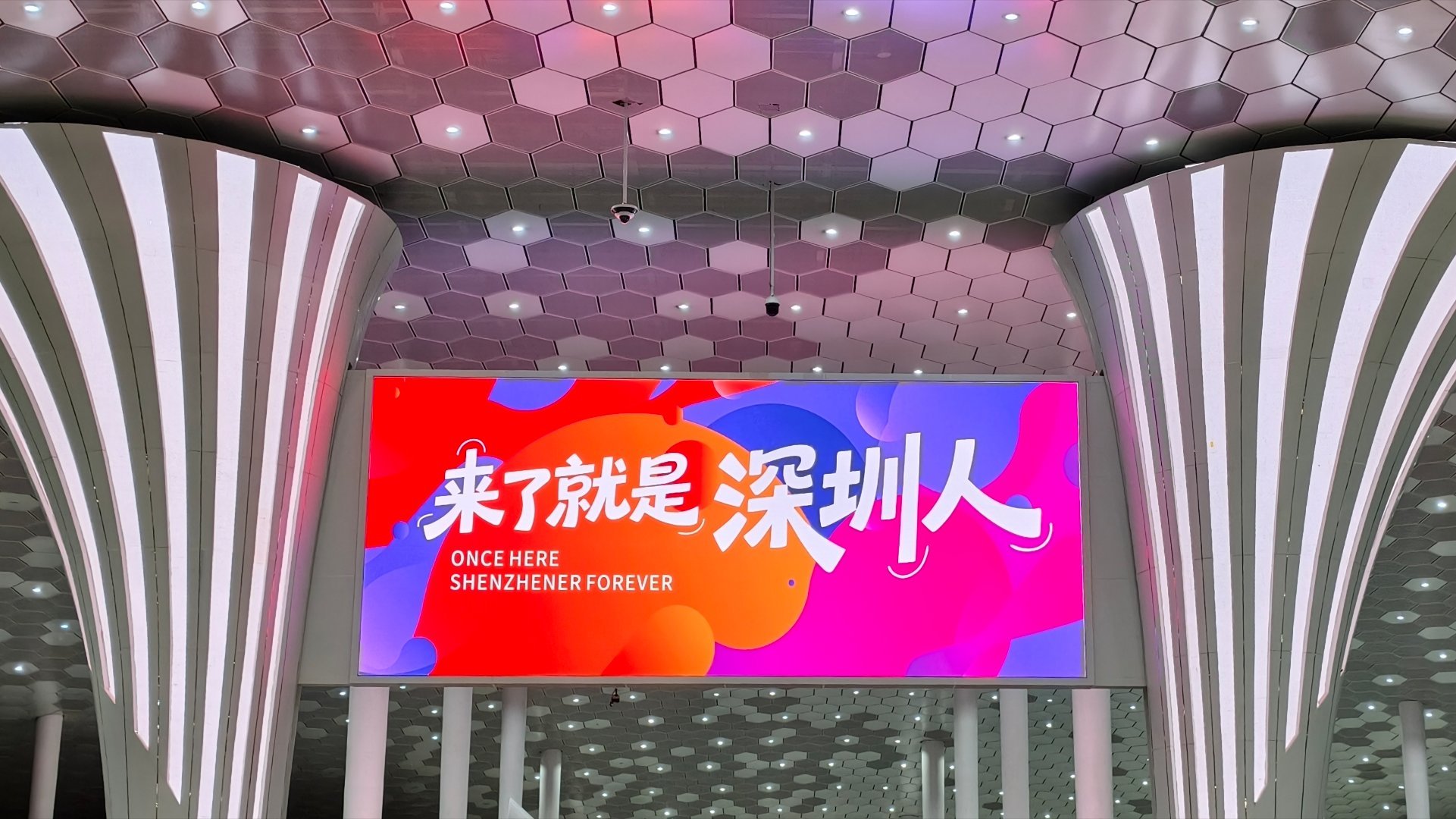 虽然下着雨，但深圳的天气还是挺舒服的～ 深圳·深圳宝安国际机场