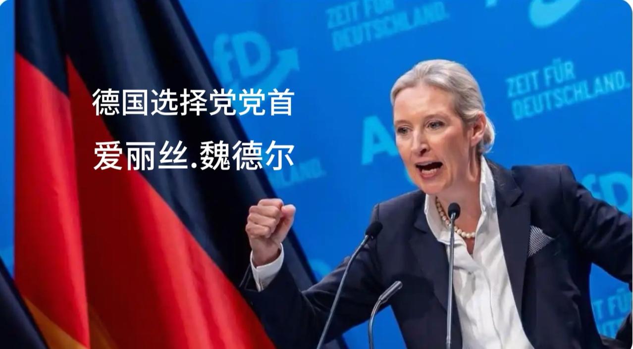 德国政坛变局：魏德尔崛起，会出现一位“中国通”总理吗？
 
当地时间9月6日，德