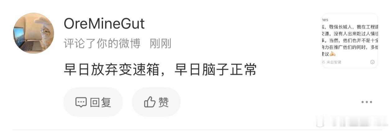 我是真的很不理解为什么会有人对变速器这种伟大发明敌意这么大…如果没有变速器，那不