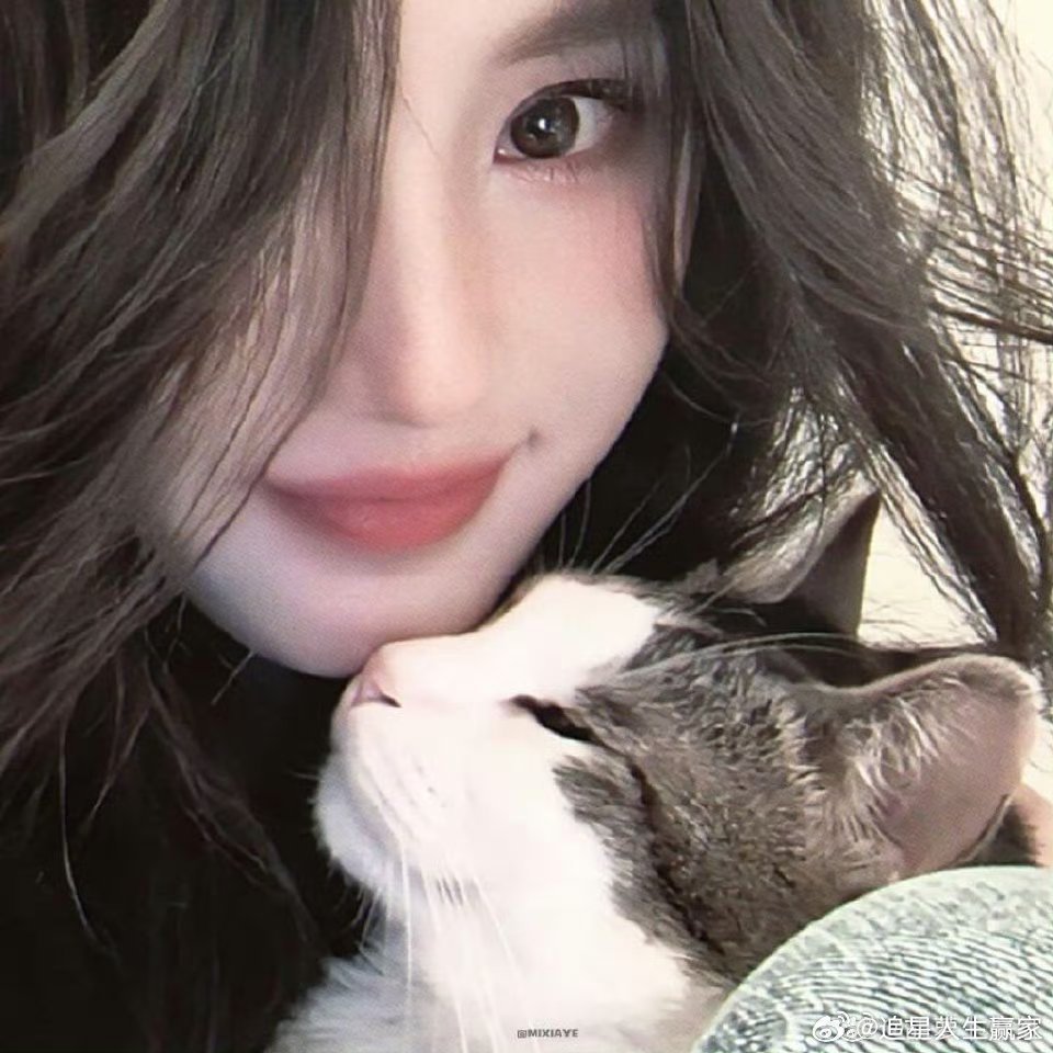 杨幂汤圆头像 好萌此女头像大户来的，补药放过这个萌萌的小汤圆呀 