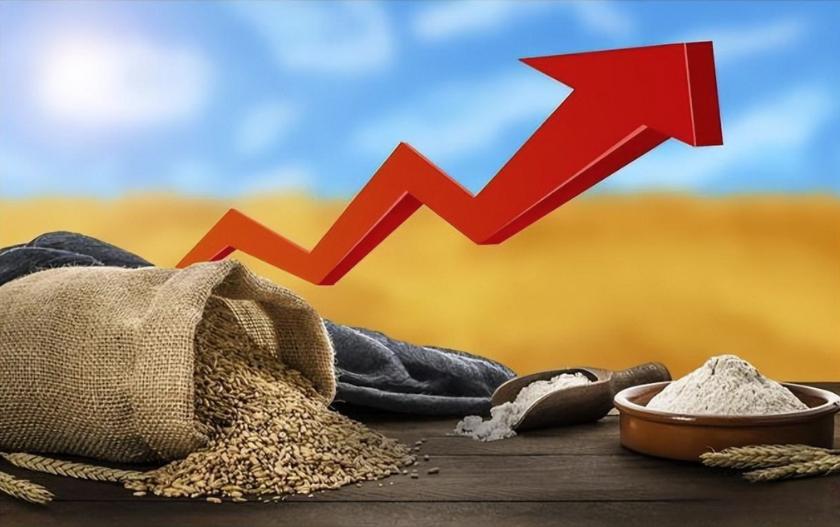 小麦暴涨逾三成！粮食危机正悄悄掏空全球家庭 ？中国小麦不涨反跌，这让农民陷入焦虑