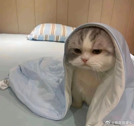 让我看看最近有啥po文……看个20min就睡觉…… ​​​