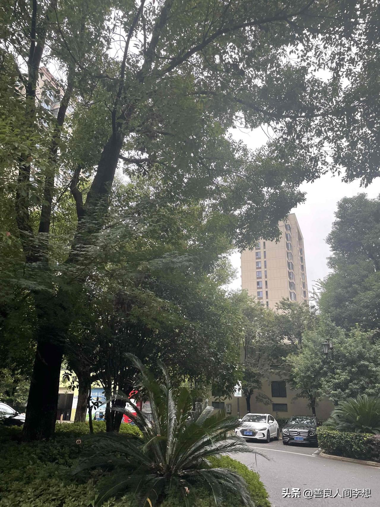 兰州雨后的空气特别清新，在上海雨后空气中弥漫着潮湿的气息！

昨天夜里下了一场雨