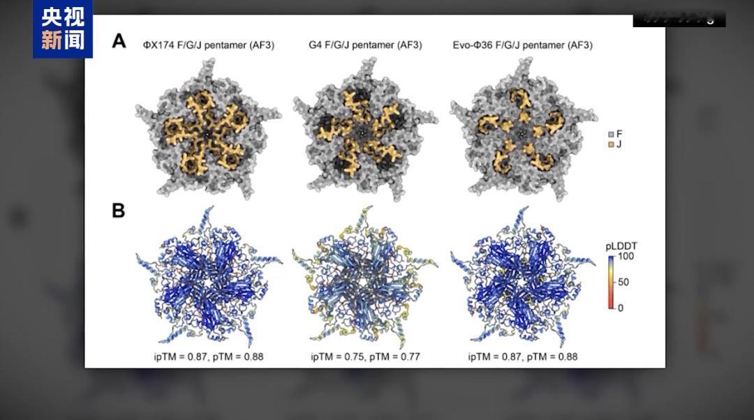 斯坦福大学与Arc Institute研究团队利用Evo 1、Evo 2基因组语