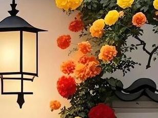 人生"三不做"，做了了不得

1，不贪。

2，不痴。

3，？

第三个"不做
