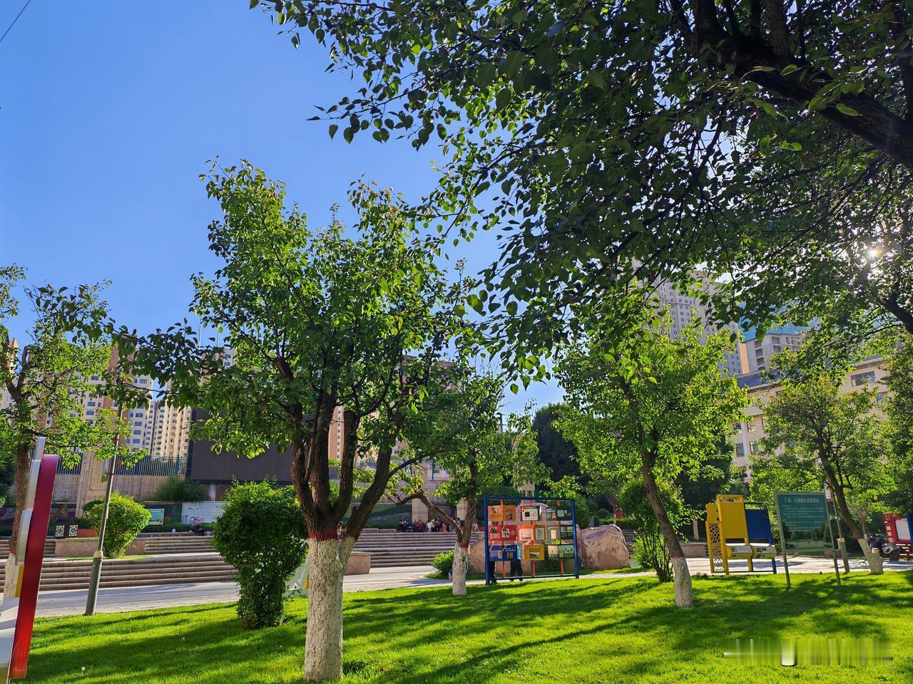 夏日生活打卡季夏日生活打卡机就是一个美好的方式，因为通过这种方式对于我们自身来说