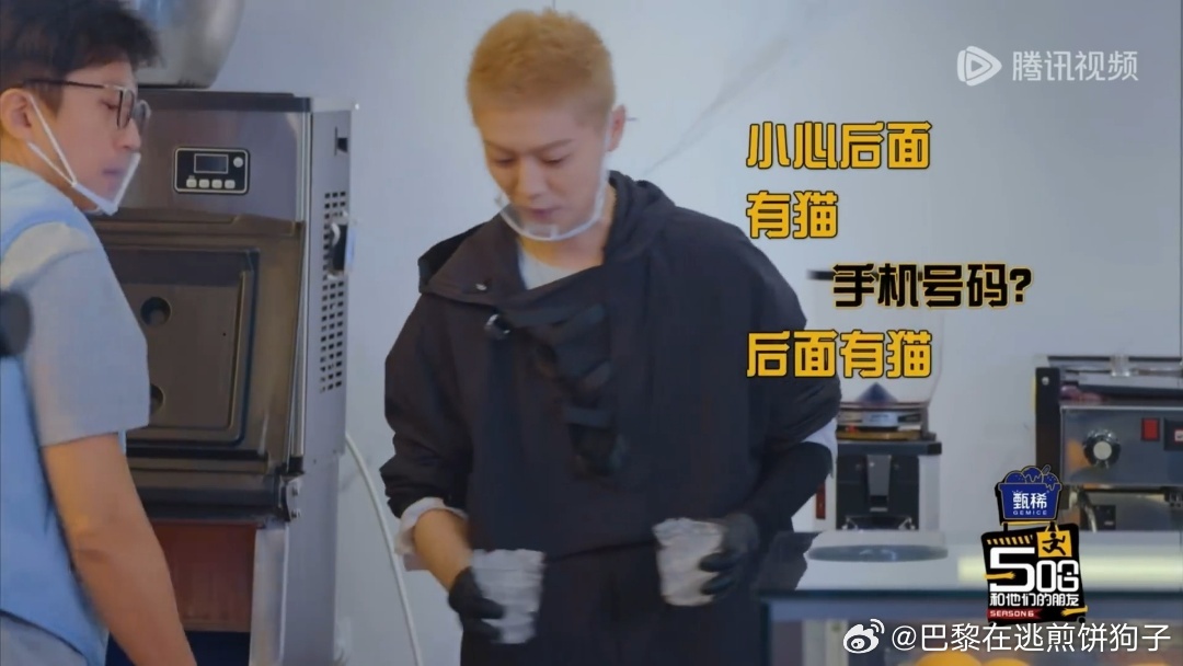鹿晗做咖啡突现流浪猫他先轻声"你好"当真可爱——那语气像对小孩说话怕吓着，嗯嗯知