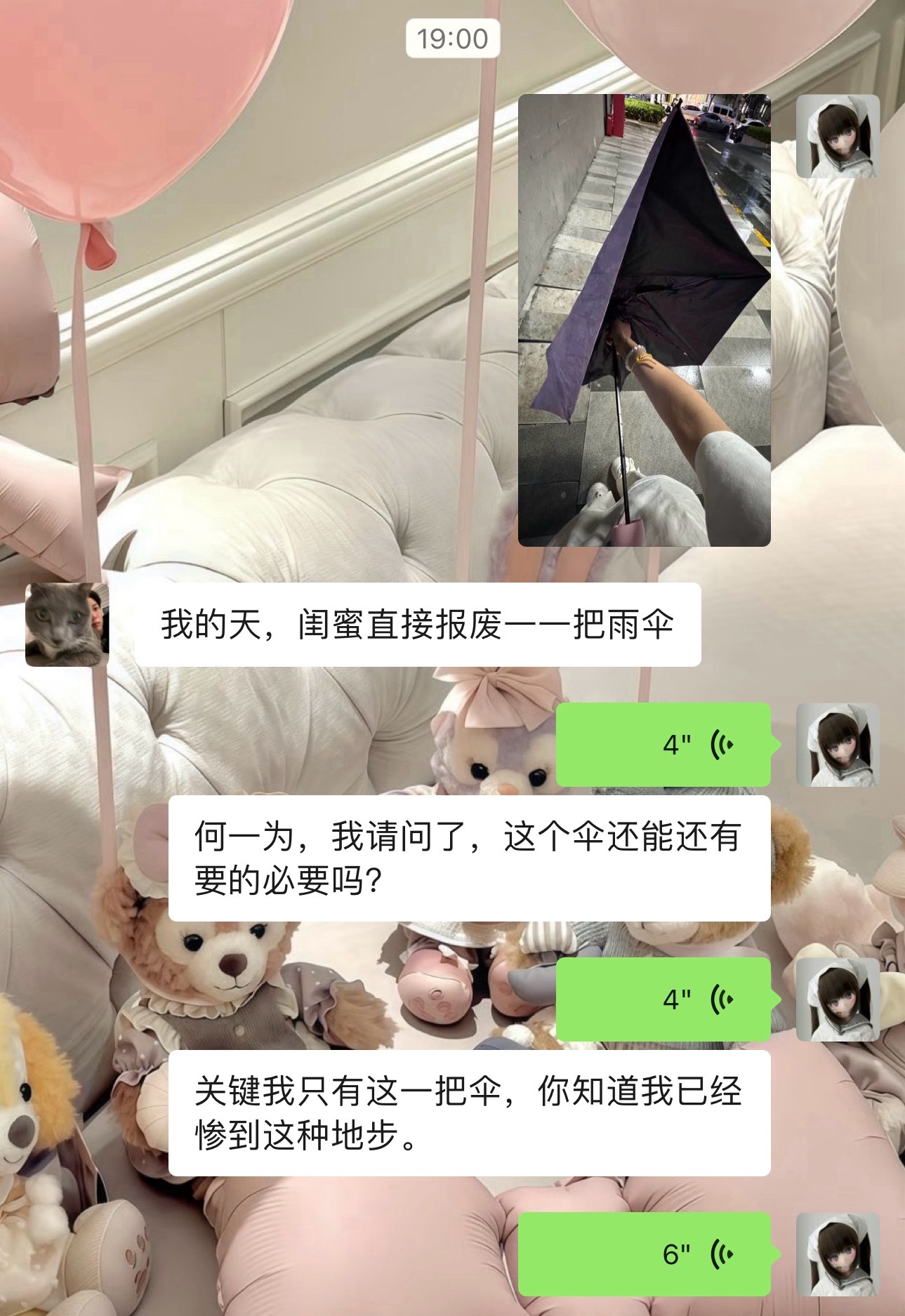 这个台风天对我一点也不好白海豚直接报废我一把伞打了也浑身湿透 