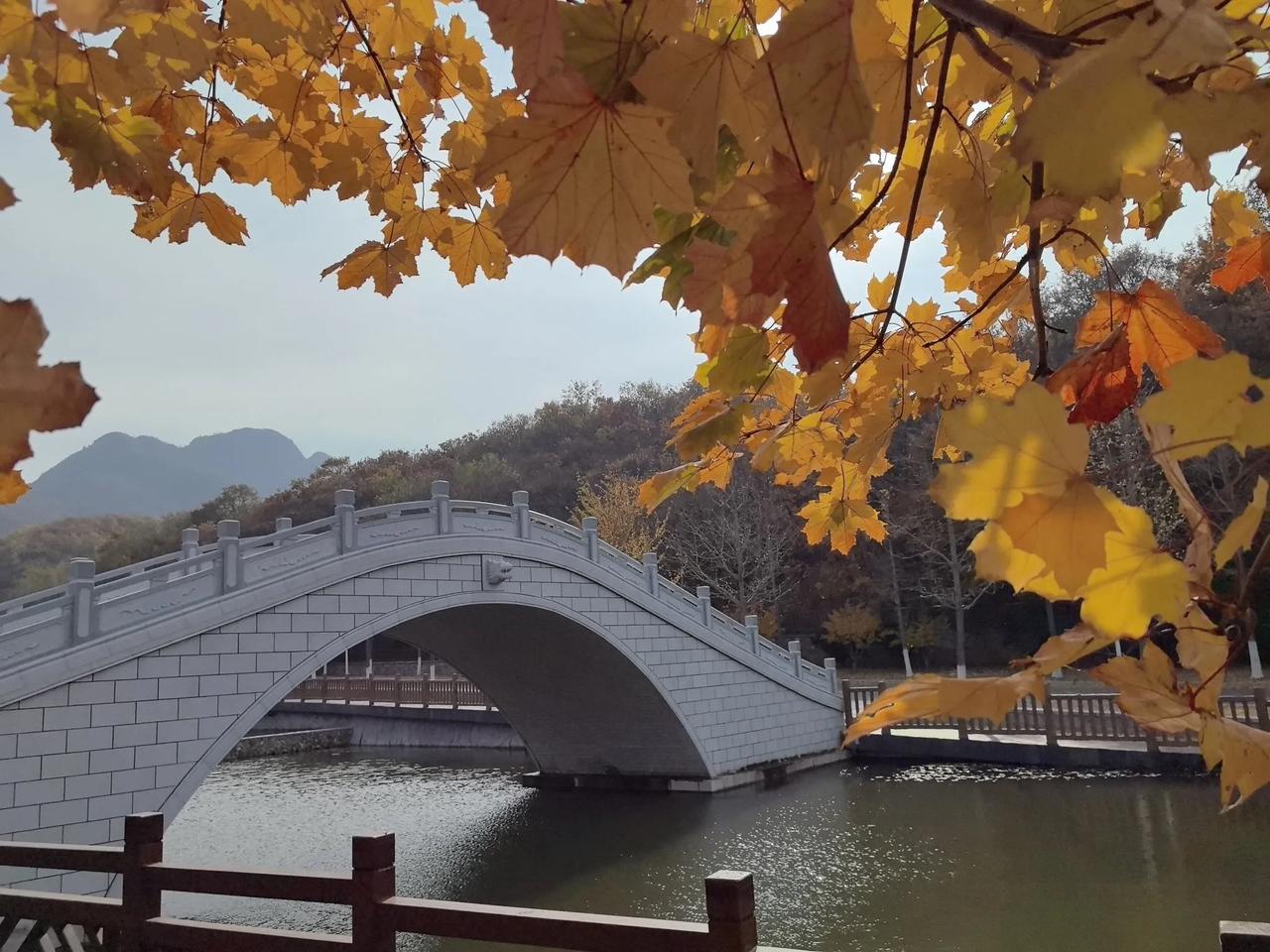 深秋爬小黑山，景色又是一番别有韵味！
10月国庆以来，要么周末串班，要么周末加班