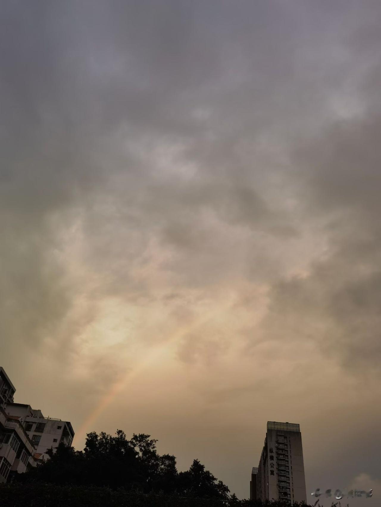雨中朝阳 静静小雨