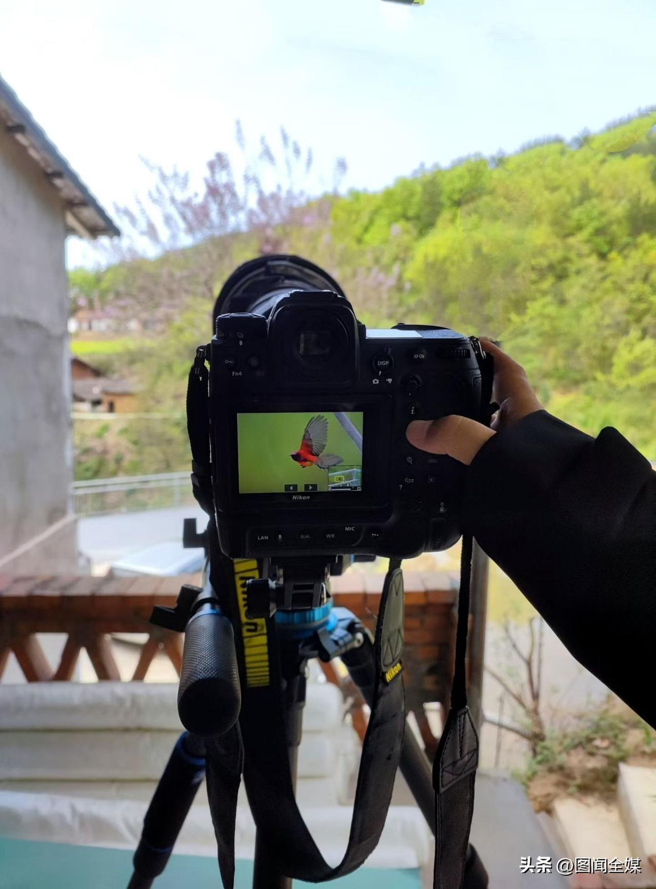 4月3日，央视17频道《乡土中国》栏目《物候记》人文探索张老师一行刚刚莅临陕西洋