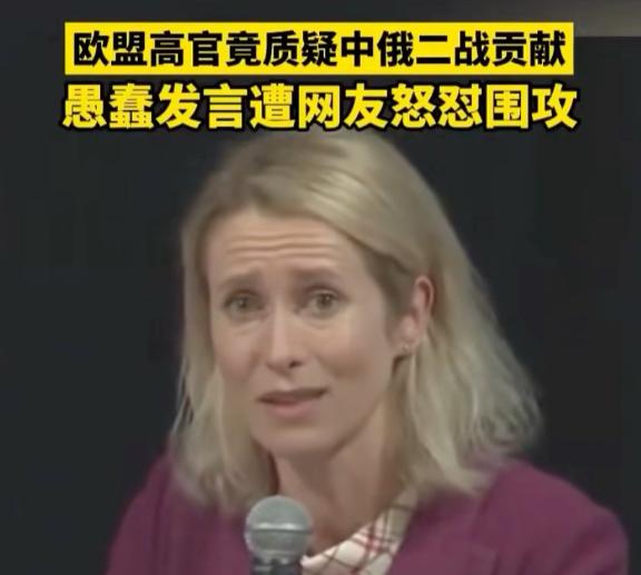 蠢笑了！欧盟外长竟称俄罗斯说中俄打赢二战，是个新鲜事？

在一场高级别会议上，欧