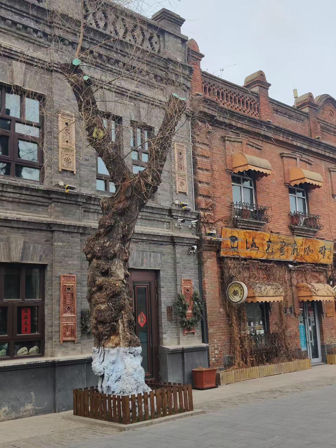 有知道这是什么地方？这颗树代表什么意思？