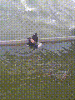 人已救上来，在ICU了！河南周口，这位黑衣大哥，太让人敬佩了，扶沟北关闸口，一女