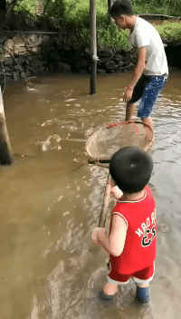 抓不过来，实在是抓不过来