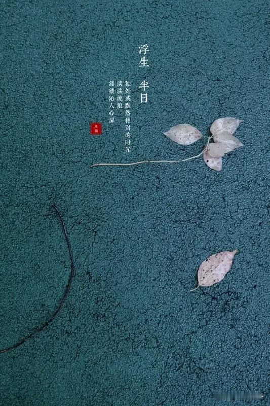 头条创作训练营《浮生自惜》乐韵晓诗原创:
半生尘事渍鬓霜，
莫把余生付迫忙。
羹