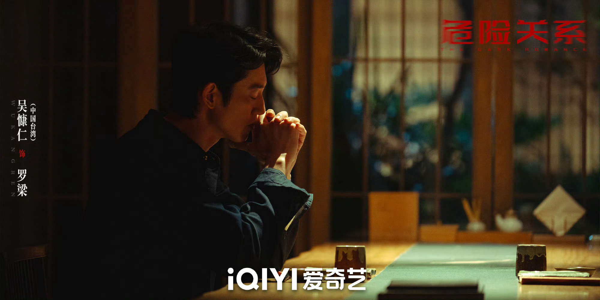 被吴慷仁的演技迷倒，书卷气+斯文败类+性张力集一身，准备去补一下他的其他戏！危险