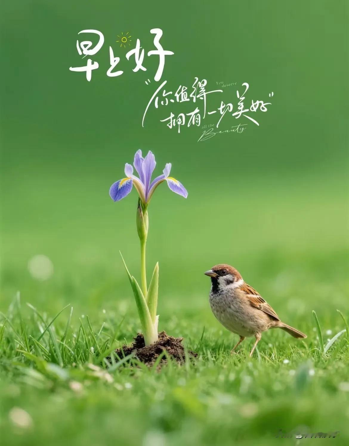 清晨问候送给你，愿你今天轻松自在，事事顺心。