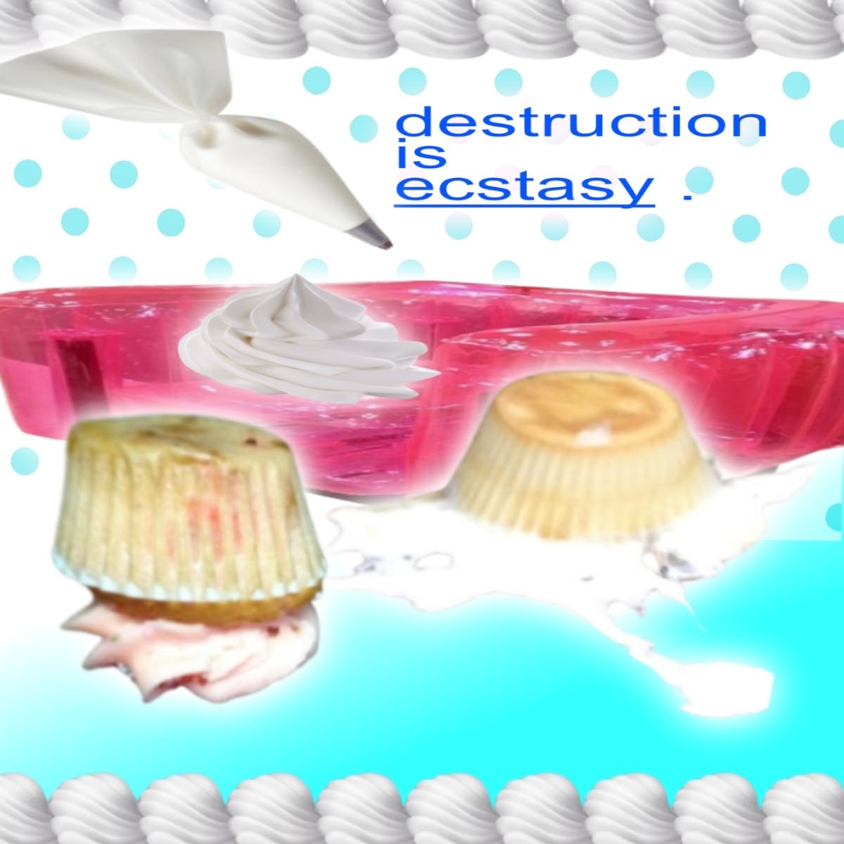 𓏸𓂂𓈒𓏸🪞˚˖𓍢ִ.🐬 ݁₊✩‧•˚. 