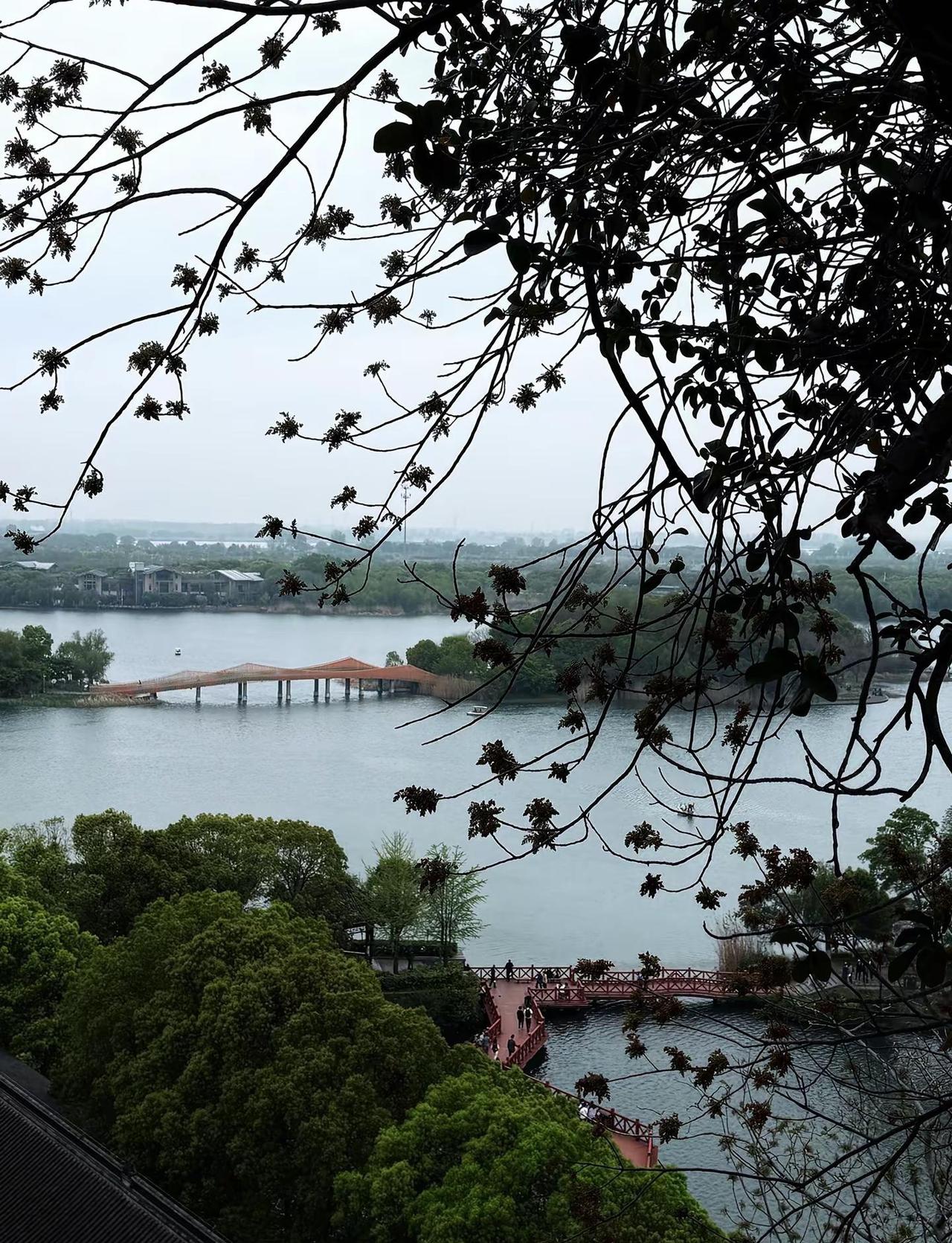 镇江你冻死我了