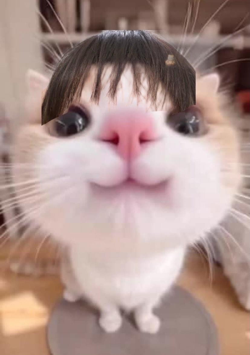 萌晕了！ 