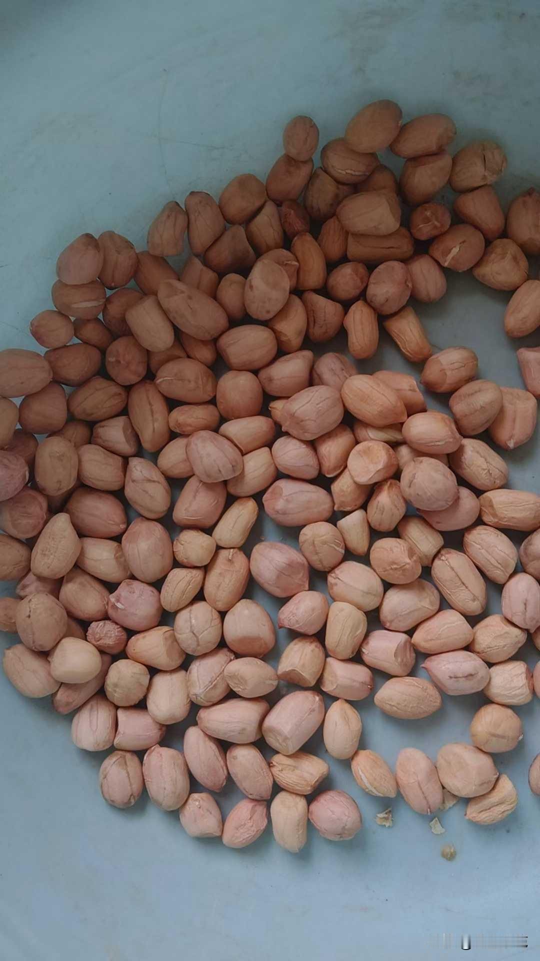 花生价格2026年3月10日山东菏泽单县花生价格行情分析

花育大杂花生米通米好