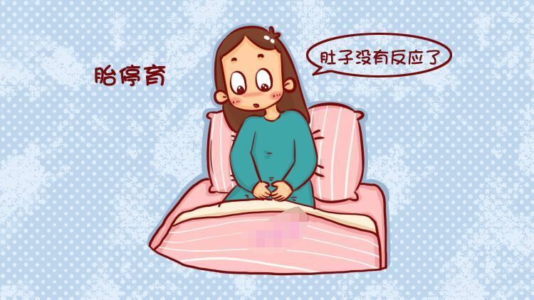#健康真探社#【本来好好的忽然就胎停了？小心这5个高危因素！】怀孕并孕育一个健康