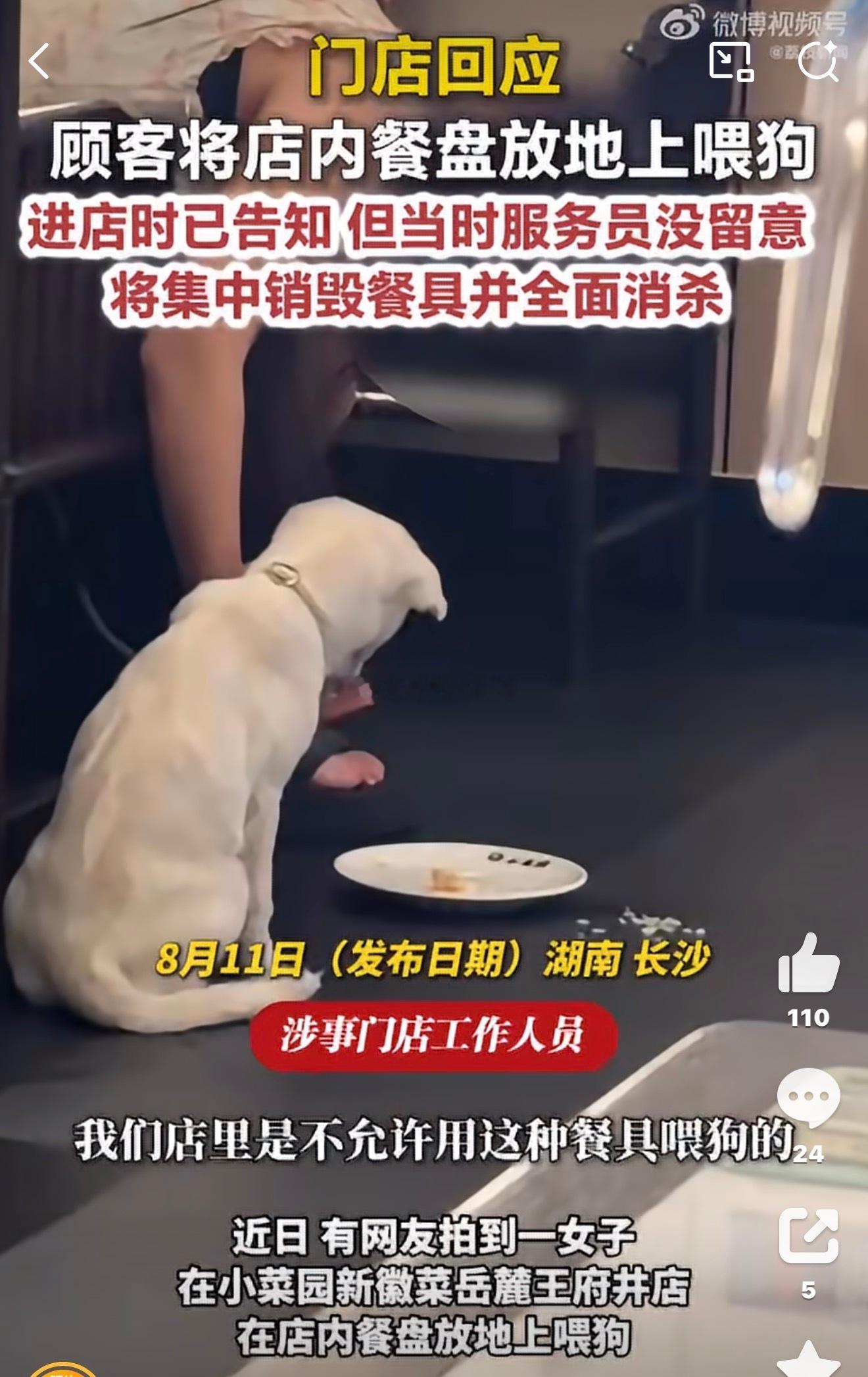 小菜园就顾客用餐盘喂狗道歉小菜园长沙门店爆出顾客拿餐厅公用餐盘喂狗，品牌火速道歉