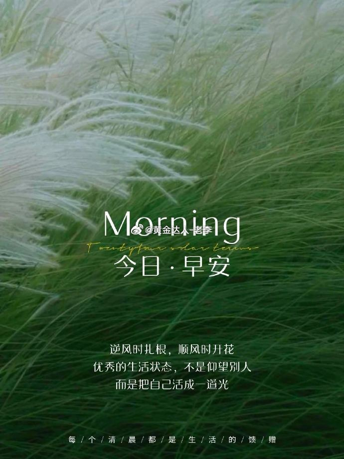 新的一天，愿朋友们有盯盘的专注，也有放得下的从容。黄金还在，机会还在，而你的好心