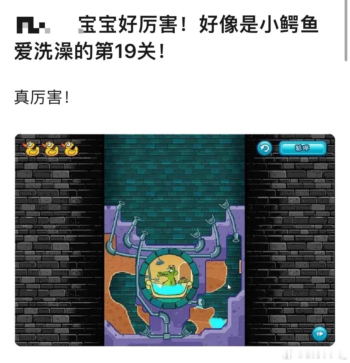我不行了，这位宝妈这都能看出来，msjj的溺爱程度就这样 