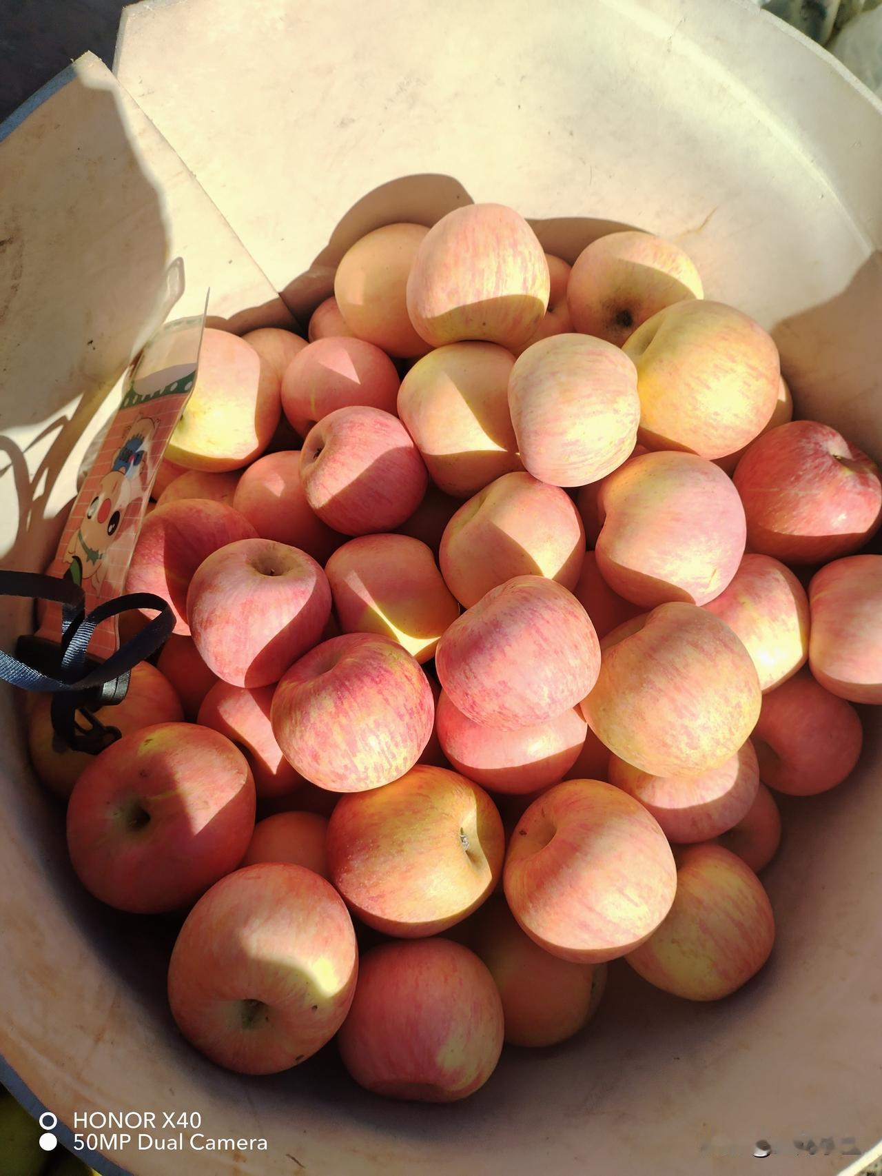 今天气温低，老公放我一天假，我睡了一上午。难得的放松和快乐。

今天零下13°度