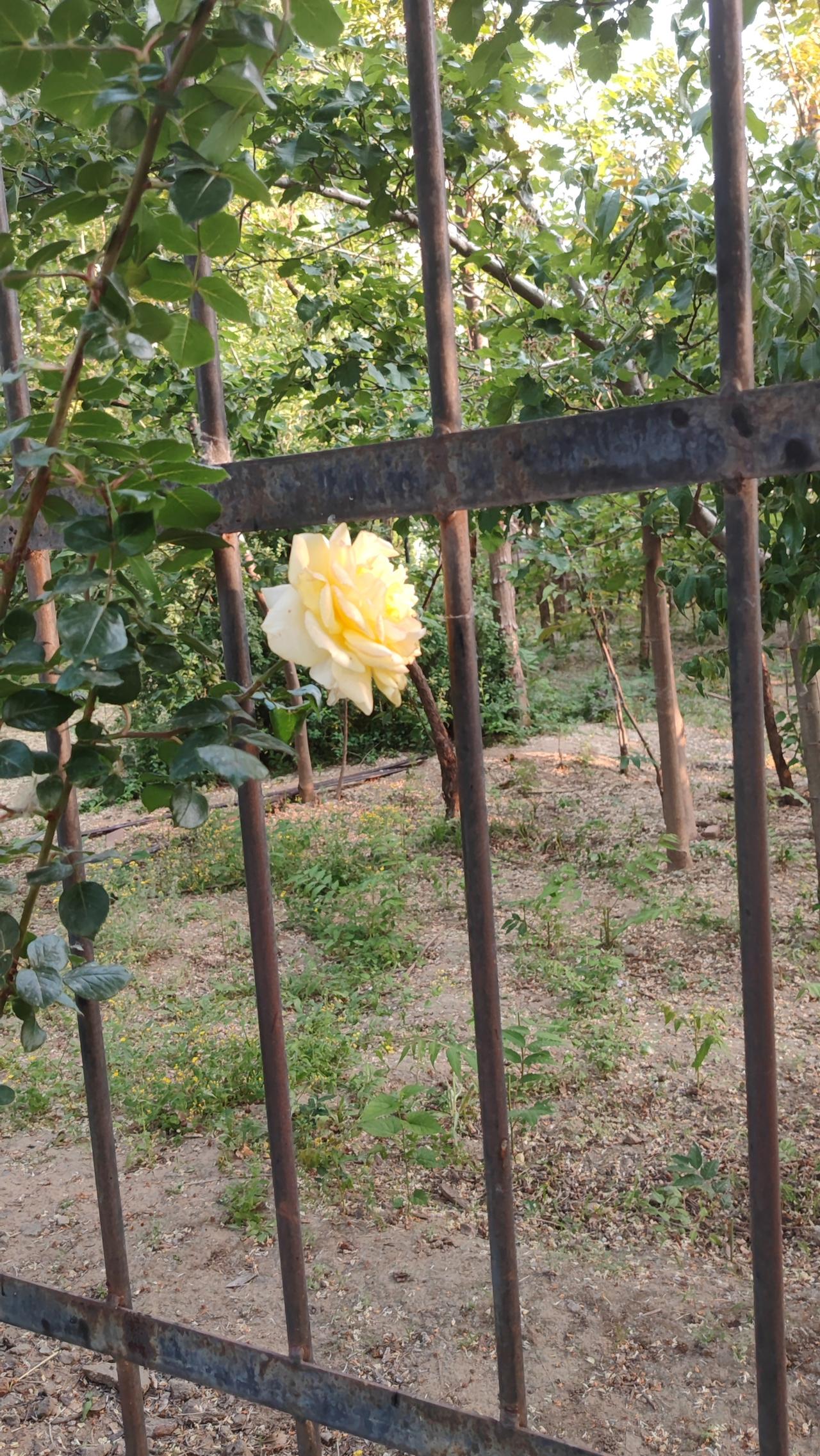守住内心的宁静

知足不辱，知止不殆，可以长久。 汉代隐士严遵生活清贫，却拒绝了