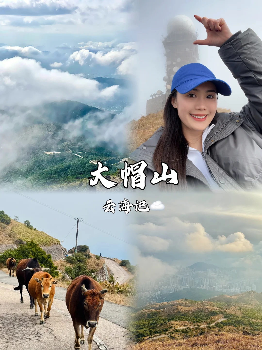 爬山吗⛰️看大片云海感受快乐的那种！✨