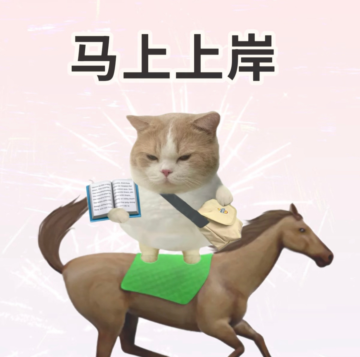 考研出分时间考研查分 我都跟着紧张了，好不容易熬到初八还查不了，但咱们分析下感觉