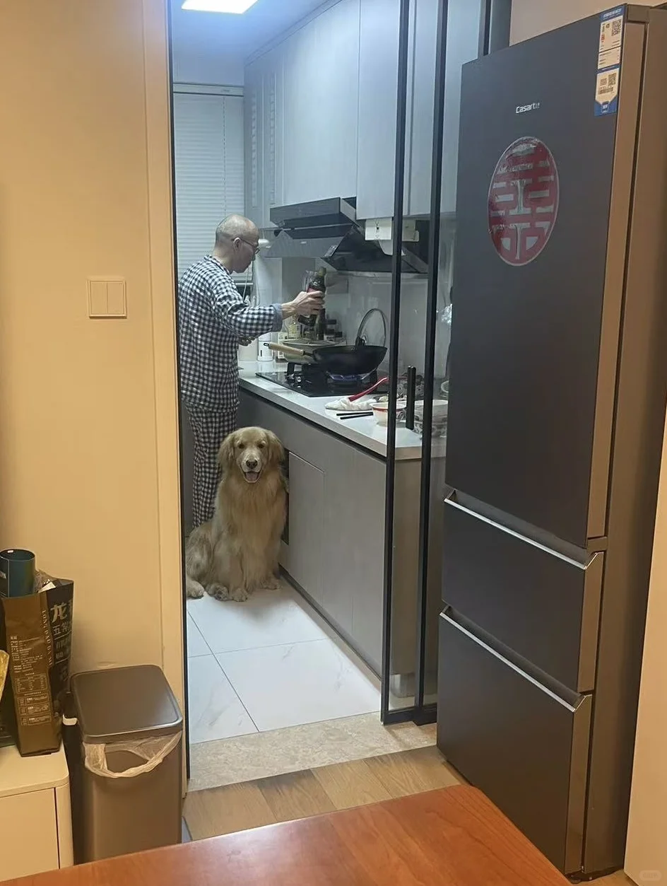 厨房守护者