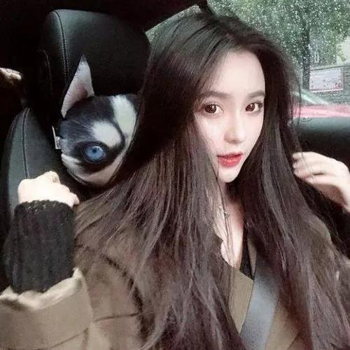 车内温馨自拍，可爱的狗狗陪伴，温暖冬日时光宠物狗自拍 萌宠狗自拍写真 萌狗自拍 