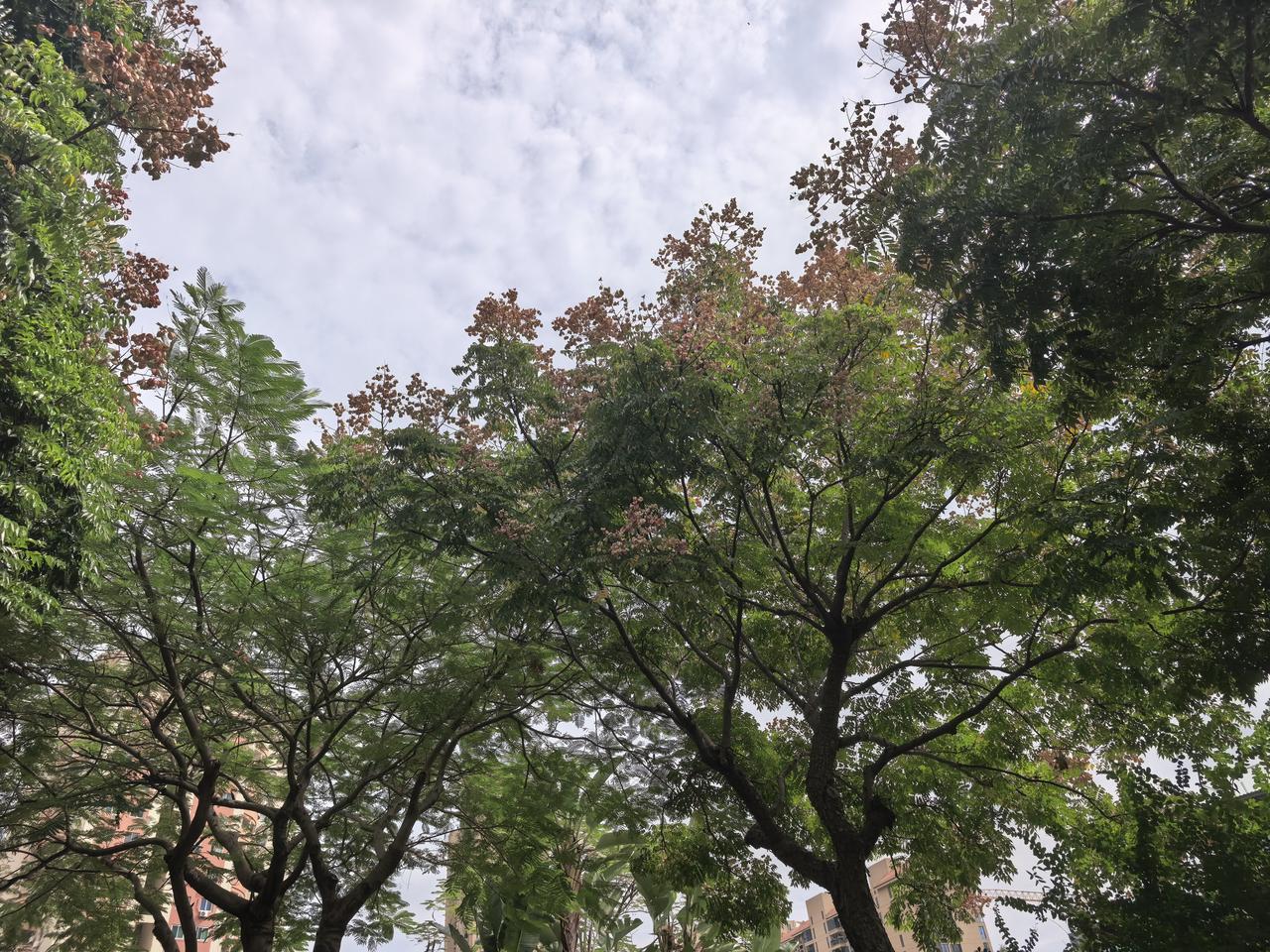 251024am：偷得浮生半日闲，观云观海观自在！
厦门身边事
