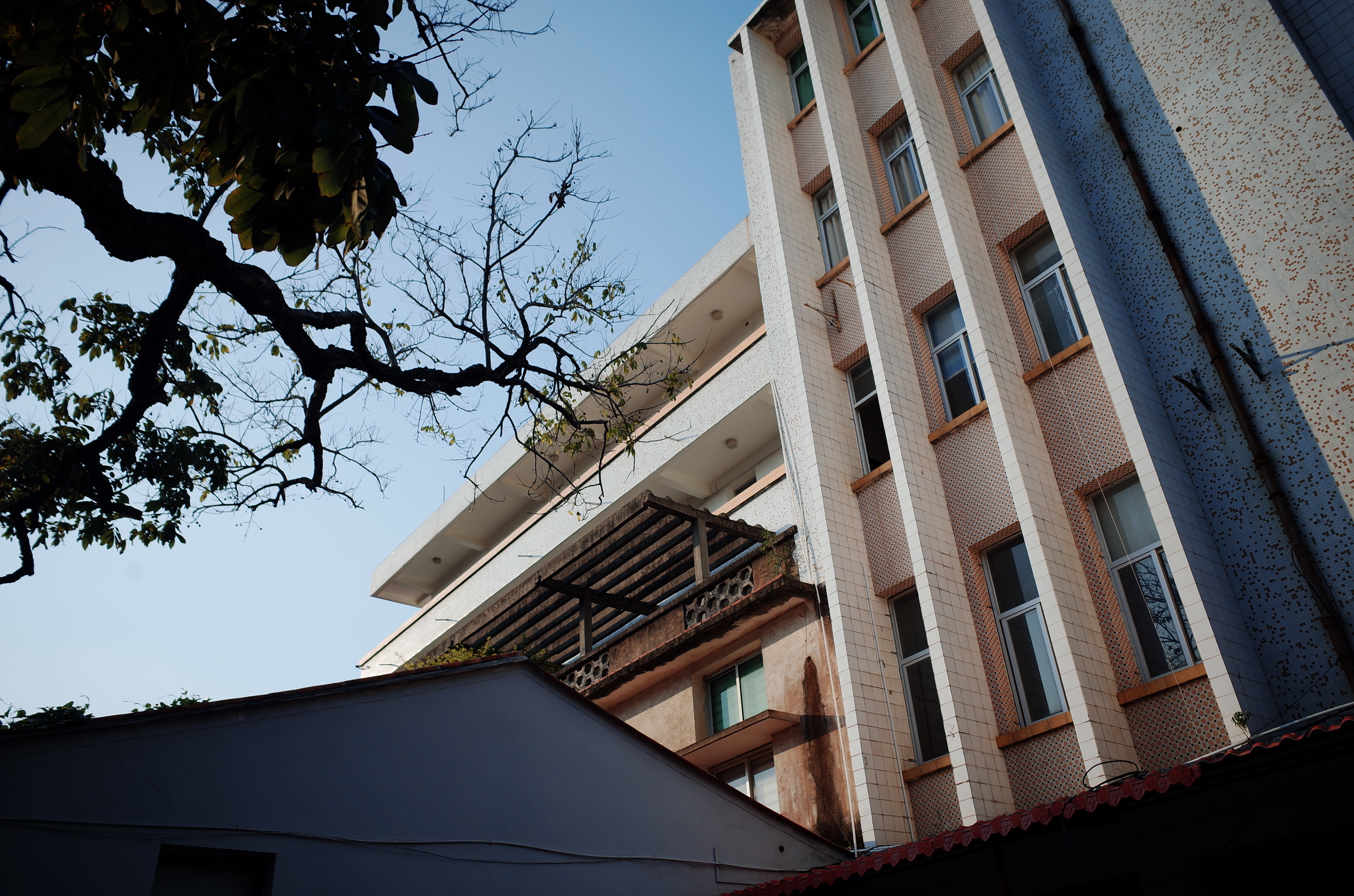 周末愉快✧٩(ˊωˋ*)و✧ 长期主义的本质是平静 