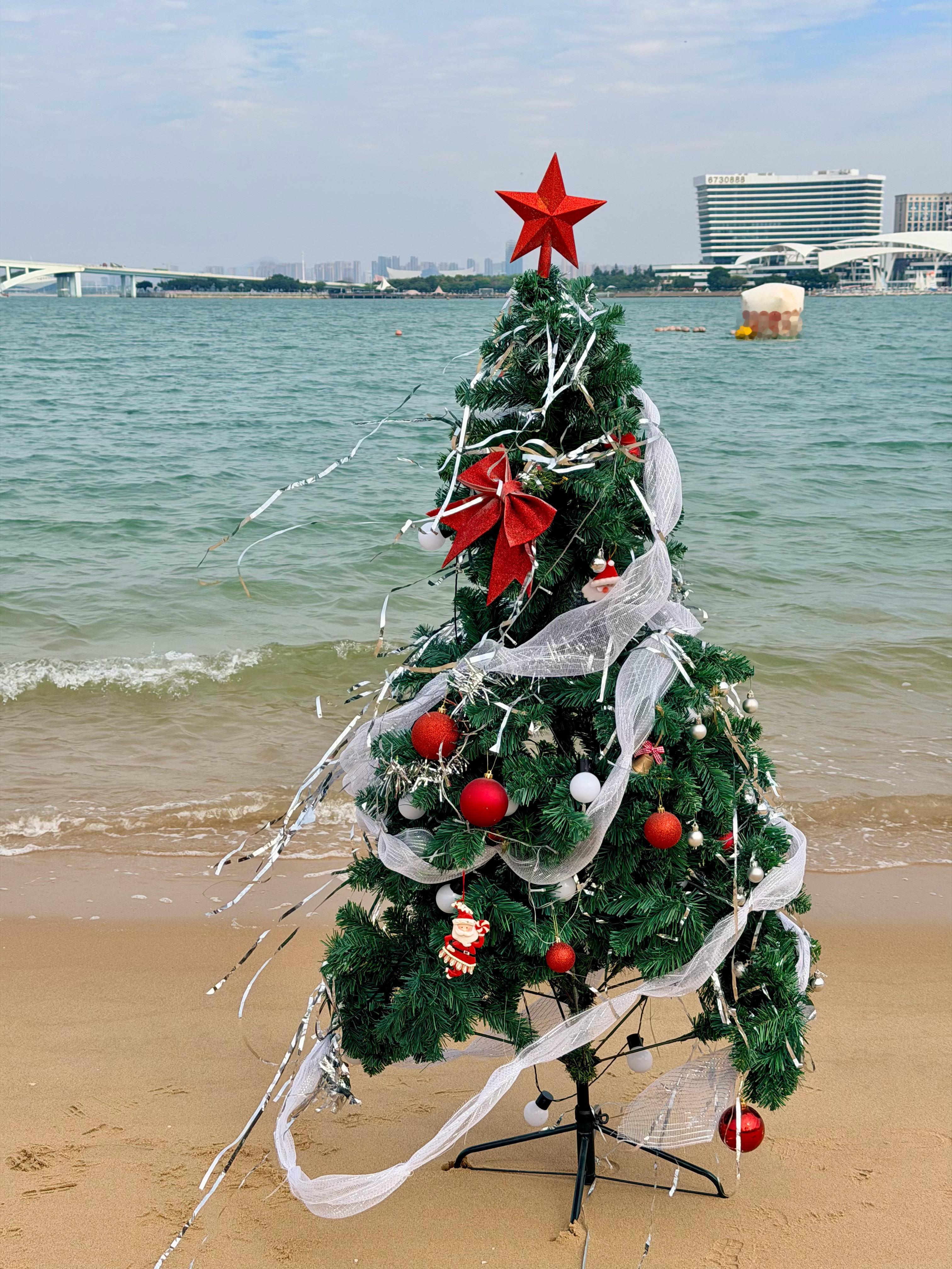 把圣诞树搬到大海边啦🎄 