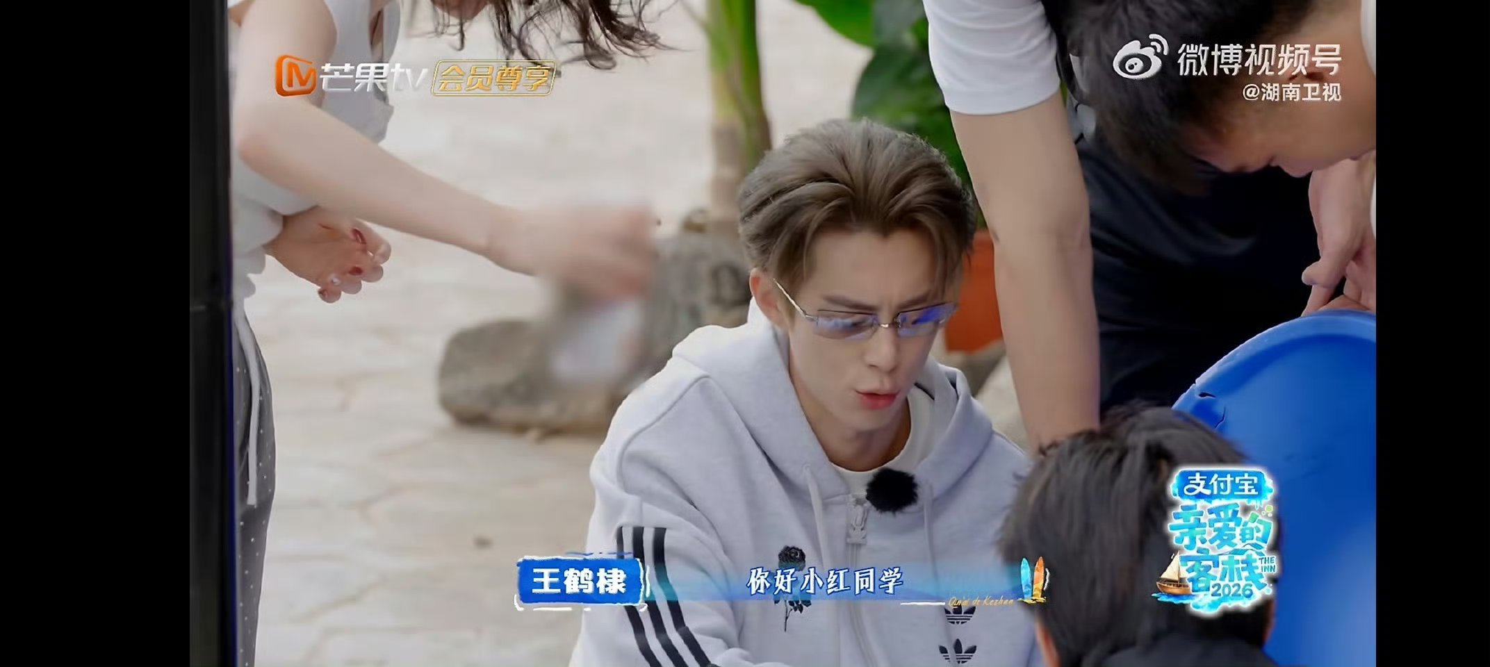 没睡醒的全红婵被迫营业🎉客栈里藏着超甜的神仙友谊!张家齐一撞见新鲜趣事，第一时