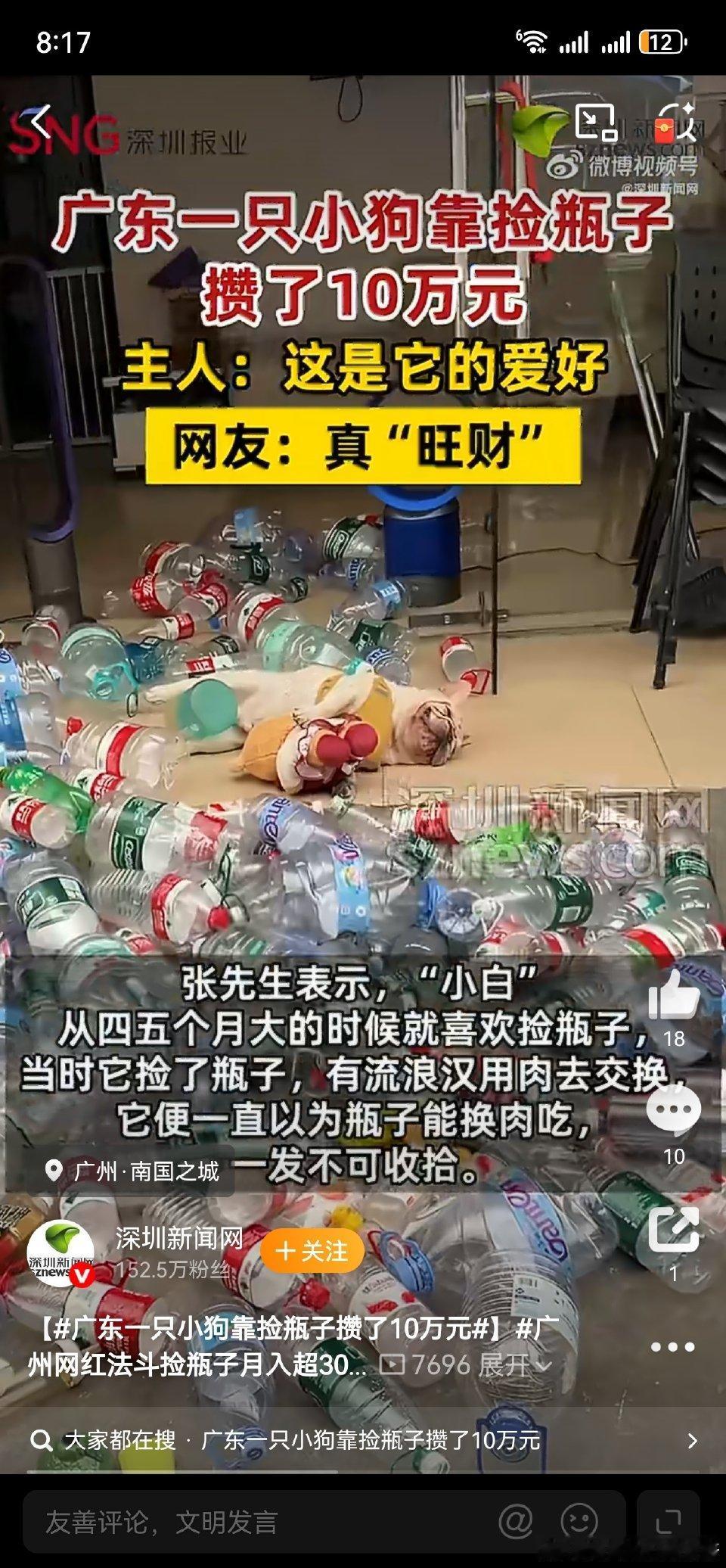 太励志！小狗靠捡瓶子攒下10万，真相太暖心
 
广州一只法斗小狗“小白”，靠捡瓶