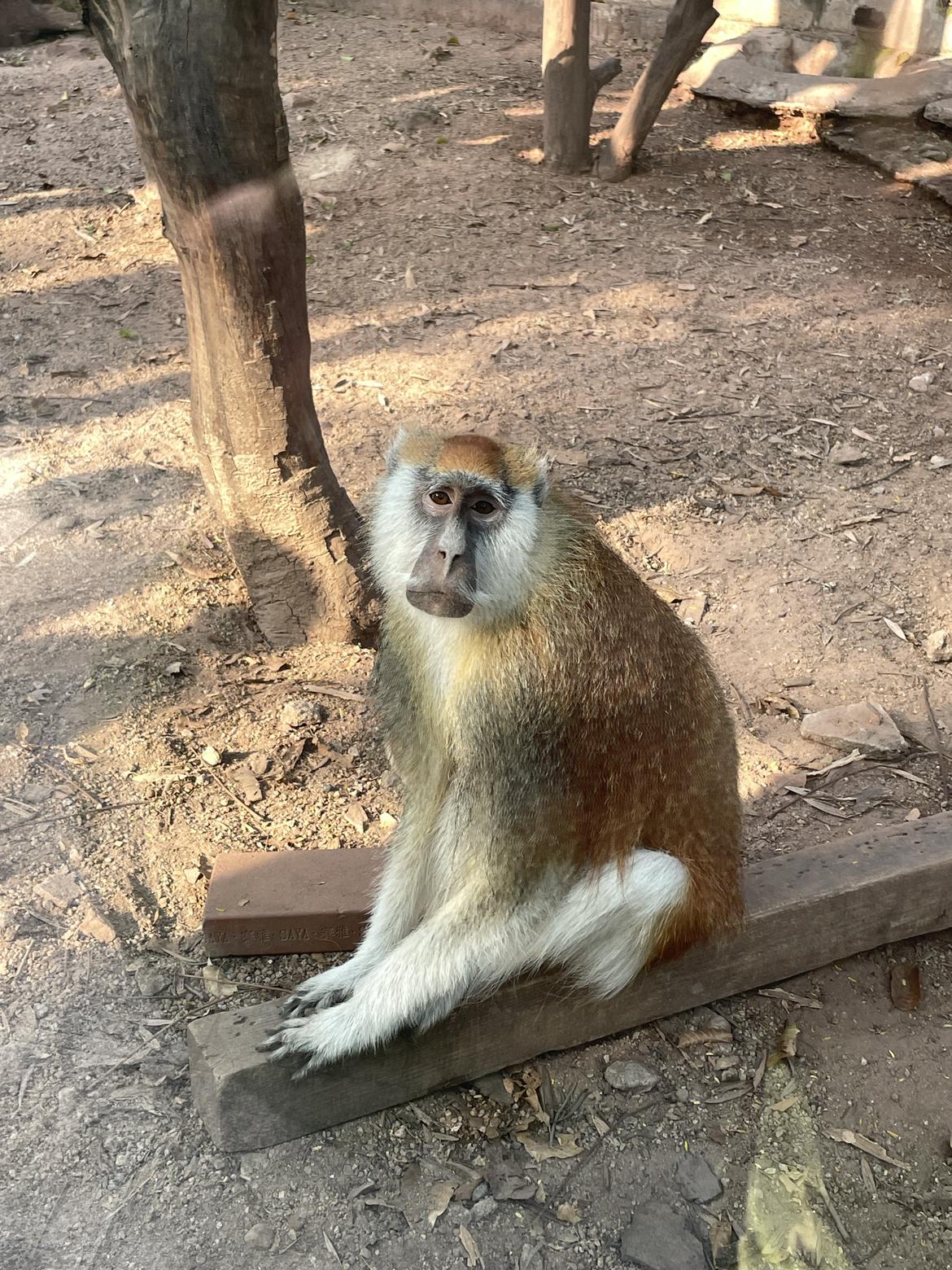 我的今日状态：😁轻松愉快
我这里的天气：☀️晴天