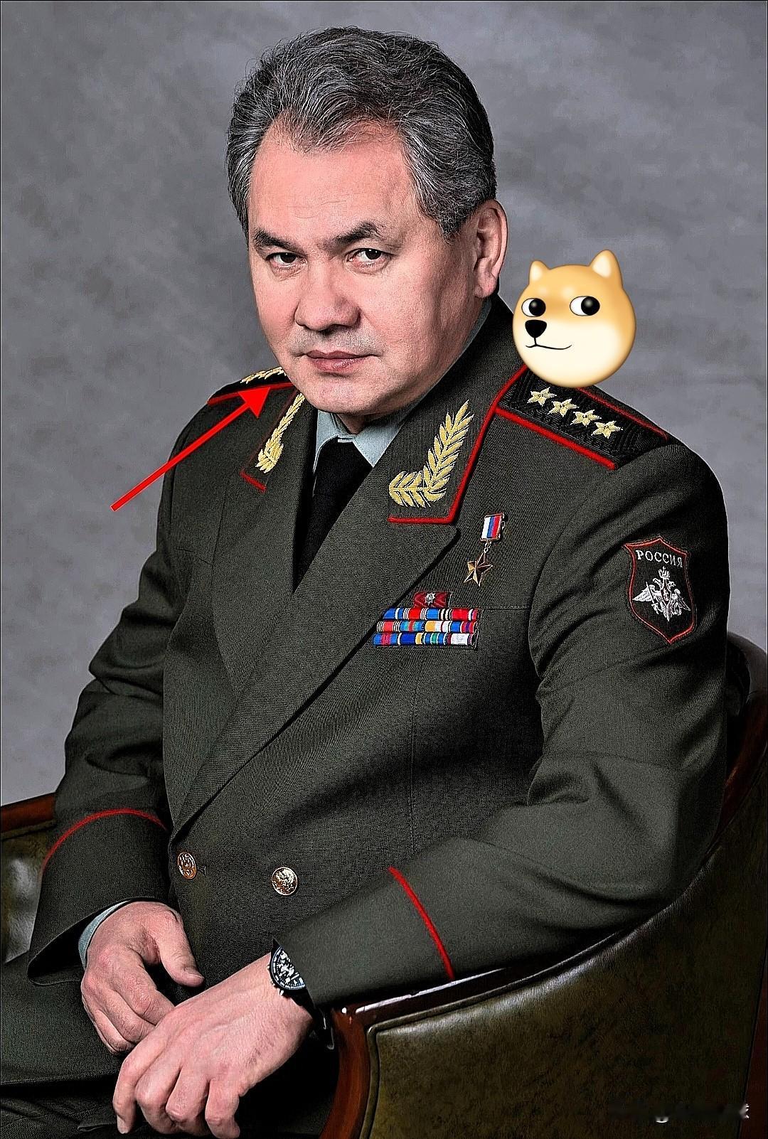 俄罗斯新消息！
4月16日，绍伊古直接把话挑明了。
 
乌克兰的无人机，天天顺着