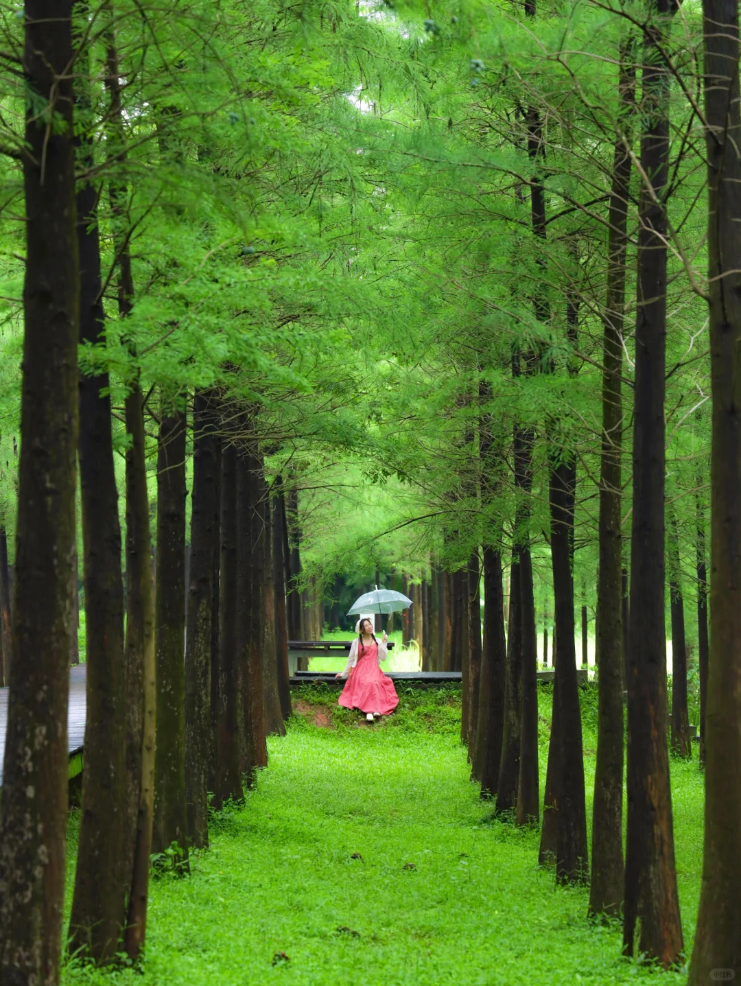 广州这个免费抹茶绿公园🌲我能呆上一整天！！
