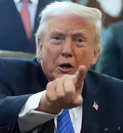 特朗普的提案再遭否决，关税政策“35%”梦碎

特朗普的“35%关税”提案，这可