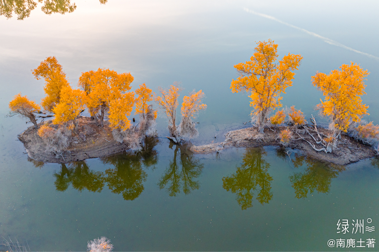 沙雅 新疆｜阿克苏#大美新疆#  