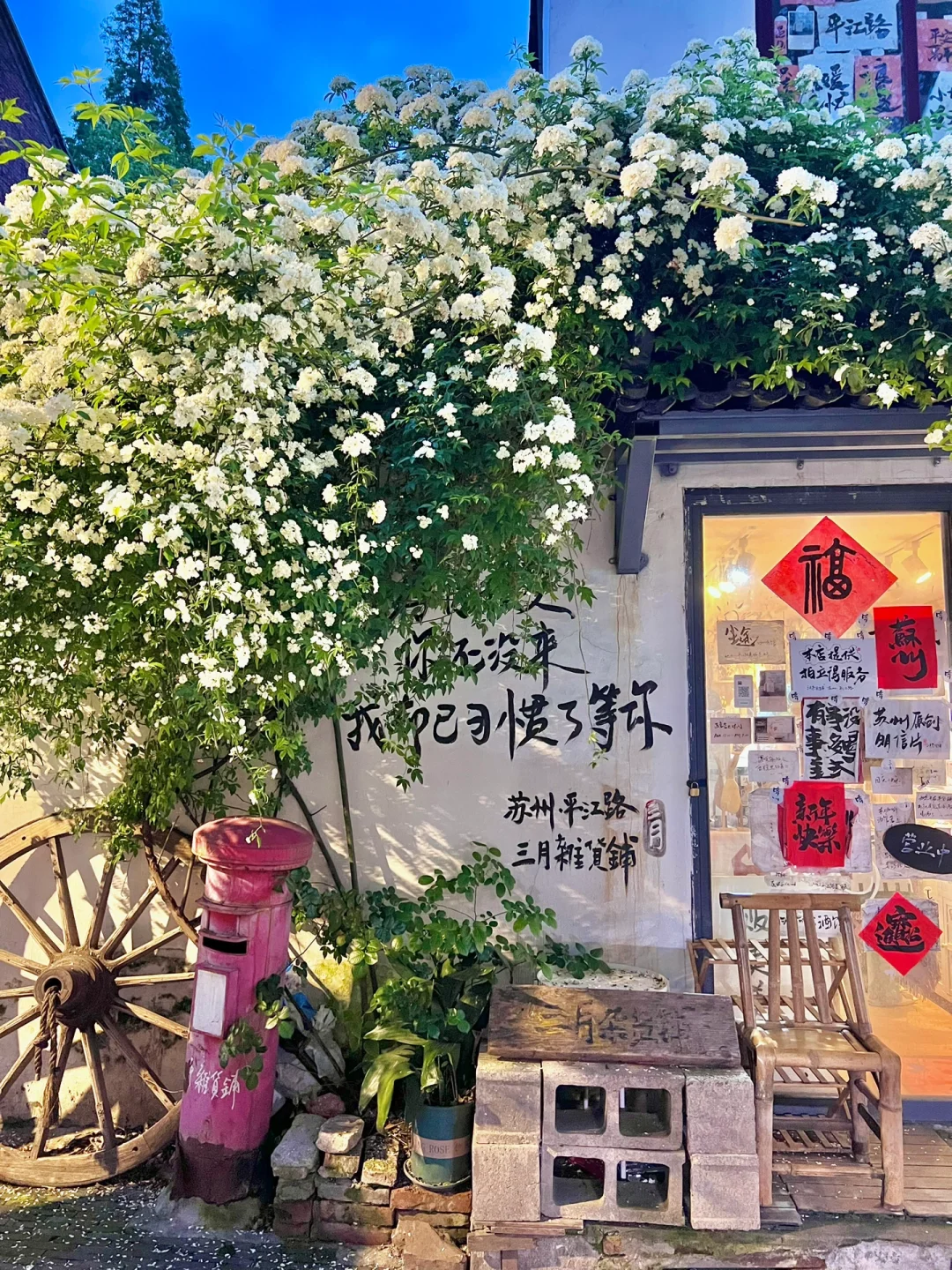 Live🍃夜幕下苏州平江路木香花瀑布‼️