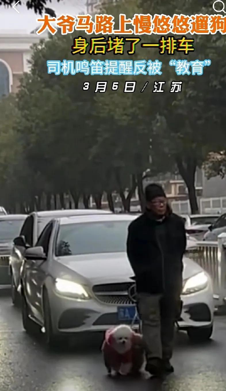 江苏一大爷在马路正中间遛狗，置后面一排车不顾，后面司机急了纷纷按喇叭，这一下忍怒