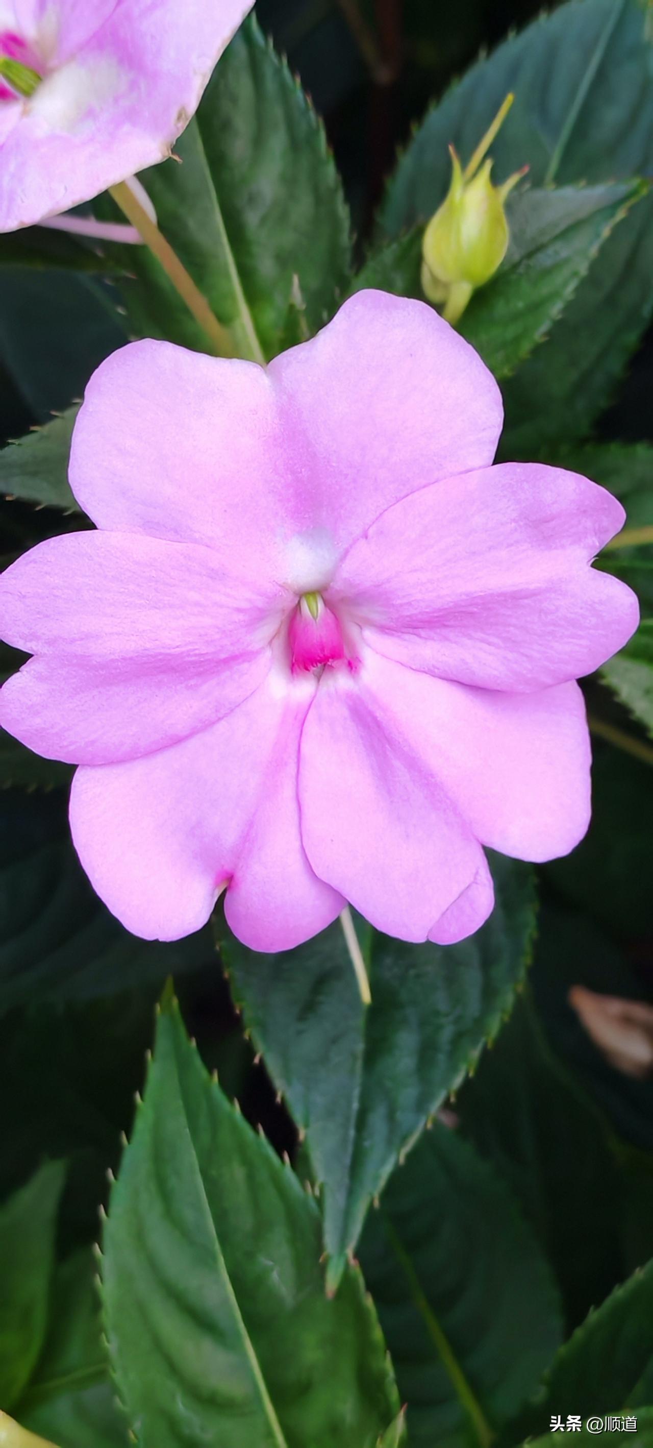 所有的男人都学学吧。
一位已经九十多岁的当年清华留学苏联的老先生说，我长年在外地