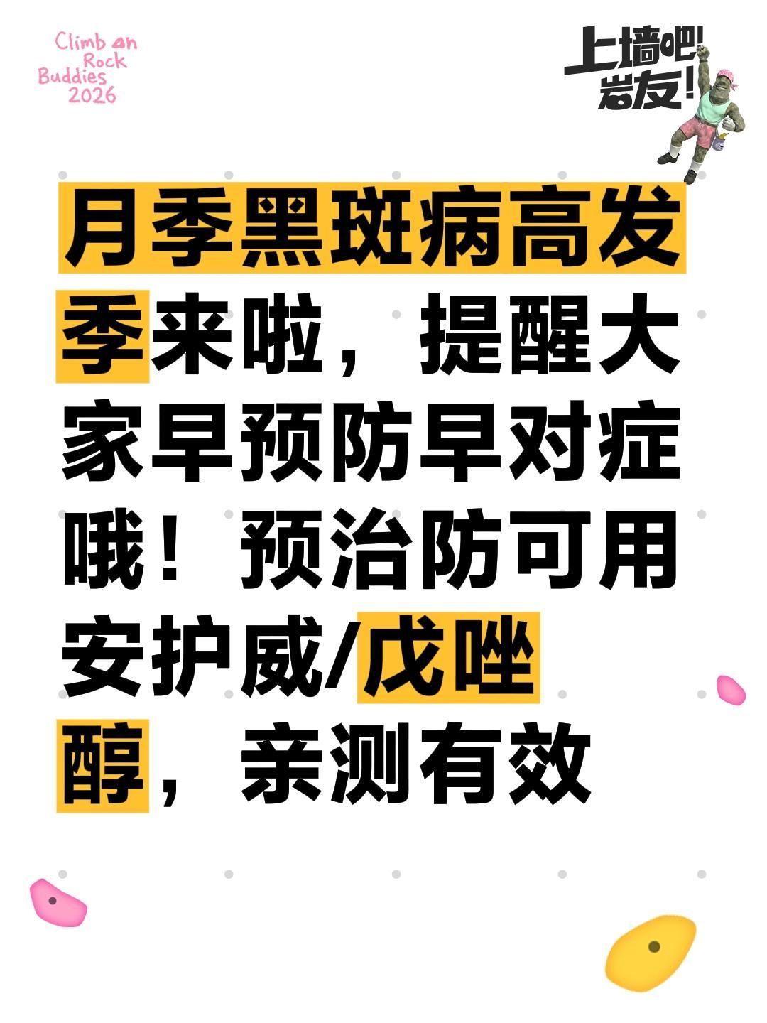 月季黑斑病高发季来啦，提醒大家早预防早对症哦！预治防可用安护威/戊唑醇，亲测有效